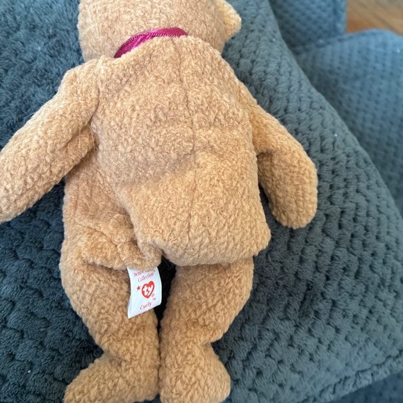 Cashew, holiday,Curly - Picture 14 of 14